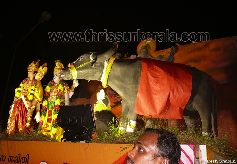 pulikkali-2011 (75)